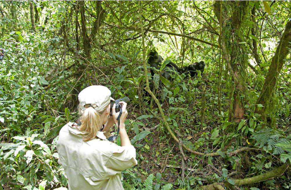 Sanctuary Gorilla Forest Camp Hotel Ntungamo  Kültér fotó