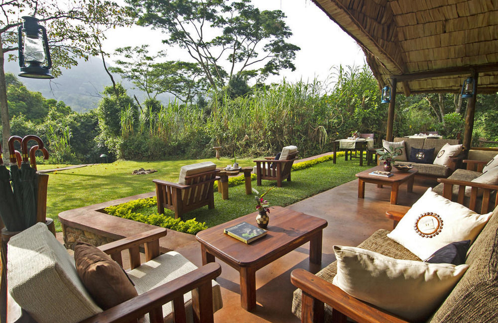 Sanctuary Gorilla Forest Camp Hotel Ntungamo  Kültér fotó